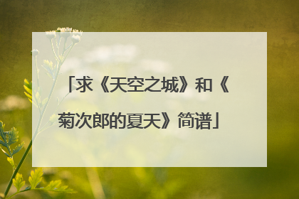 求《天空之城》和《菊次郎的夏天》简谱