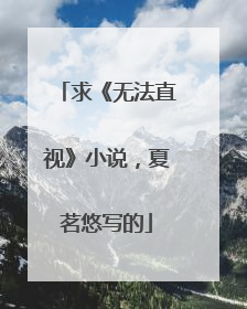 求《无法直视》小说，夏茗悠写的