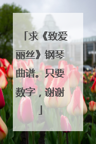 求《致爱丽丝》钢琴曲谱。只要数字,谢谢