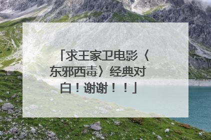 求王家卫电影〈东邪西毒〉经典对白!谢谢!!