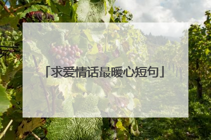 求爱情话最暖心短句