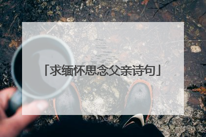求缅怀思念父亲诗句
