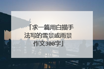 求一篇用白描手法写的雪景或雨景作文300字