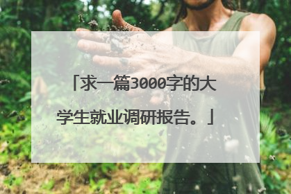求一篇3000字的大学生就业调研报告。