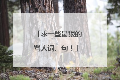 求一些最狠的骂人词、句!
