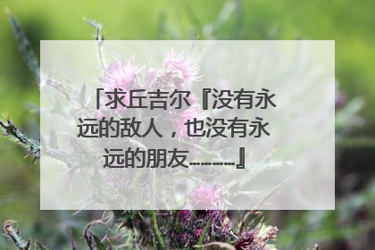 求丘吉尔『没有永远的敌人，也没有永远的朋友…………』英文原句、原句