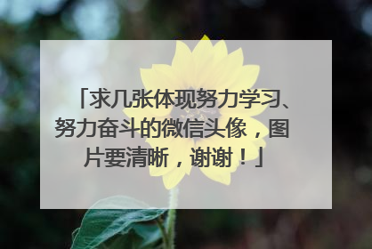 求几张体现努力学习、努力奋斗的微信头像,图片要清晰,谢谢!