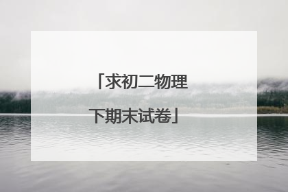 求初二物理下期末试卷