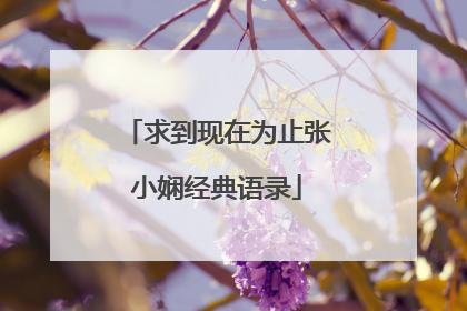 求到现在为止张小娴经典语录