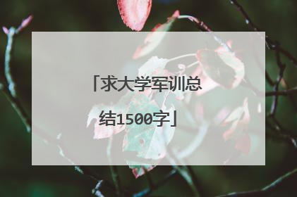 求大学军训总结1500字