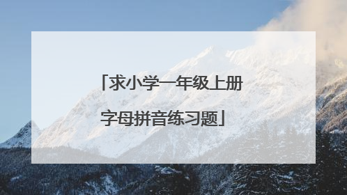 求小学一年级上册字母拼音练习题