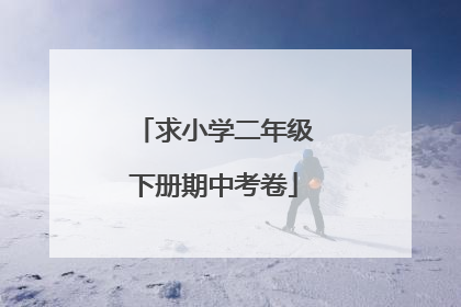 求小学二年级下册期中考卷