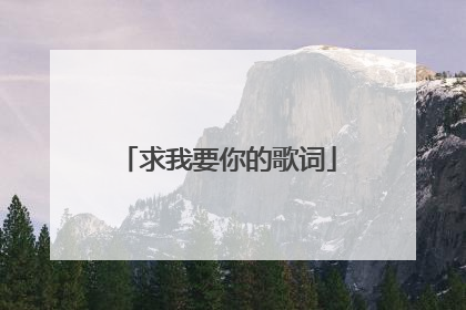 求我要你的歌词