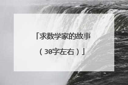 求数学家的故事（30字左右）