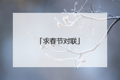 求春节对联