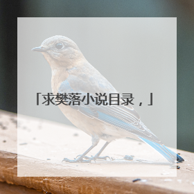 求樊落小说目录，