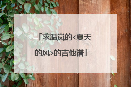 求温岚的<夏天的风>的吉他谱