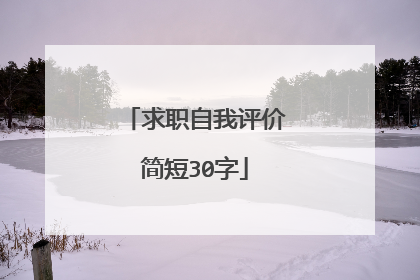 求职自我评价简短30字