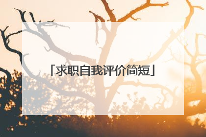 求职自我评价简短