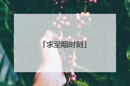 求至暗时刻