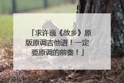 求许巍《故乡》原版原调吉他谱！一定要原调的前奏！