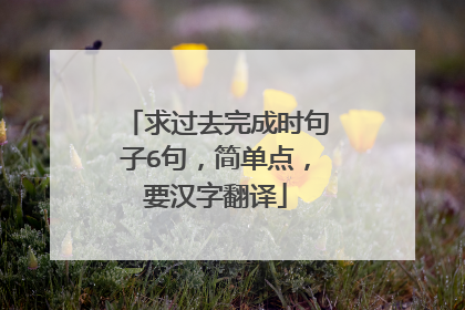 求过去完成时句子6句，简单点，要汉字翻译
