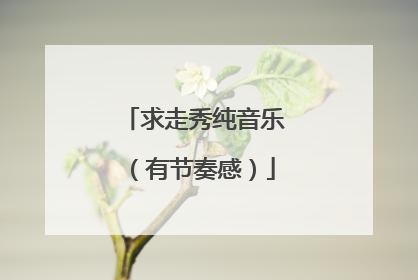 求走秀纯音乐（有节奏感）