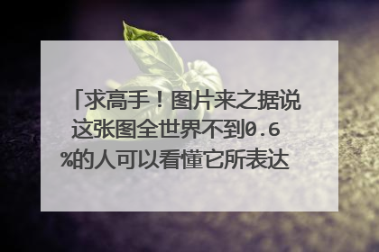 求高手!图片来之据说这张图全世界不到0.6%的人可以看懂它所表达的意思,据说看懂的还全是善于右脑思考的