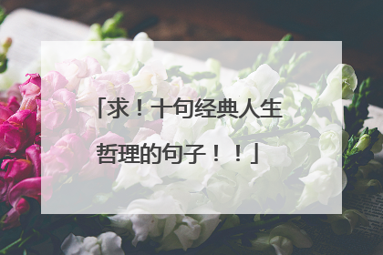求!十句经典人生哲理的句子!!