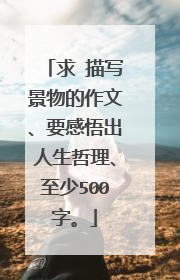 求 描写景物的作文、要感悟出人生哲理、至少500字。