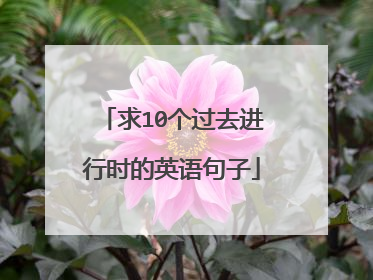 求10个过去进行时的英语句子