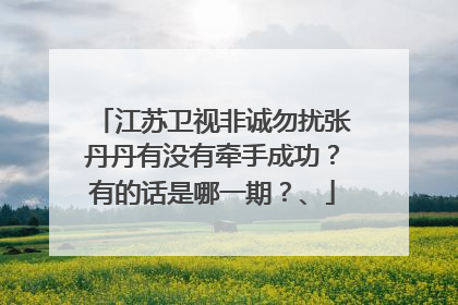 江苏卫视非诚勿扰张丹丹有没有牵手成功?有的话是哪一期?、