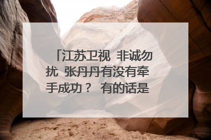 江苏卫视 非诚勿扰 张丹丹有没有牵手成功? 有的话是哪一期?、