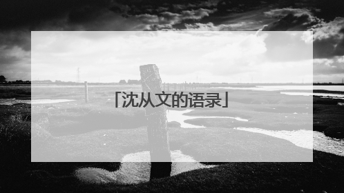 沈从文的语录