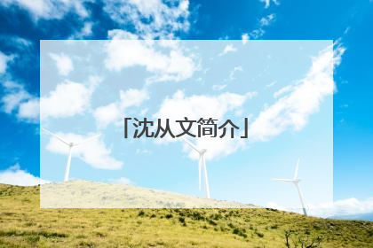 沈从文简介