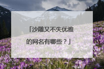 沙雕又不失优雅的网名有哪些？