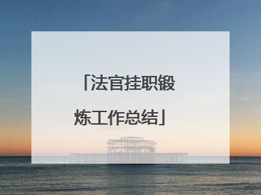 法官挂职锻炼工作总结