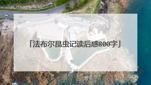 法布尔昆虫记读后感800字