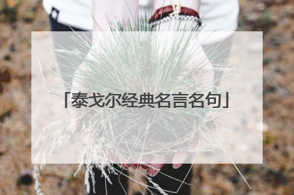 泰戈尔经典名言名句