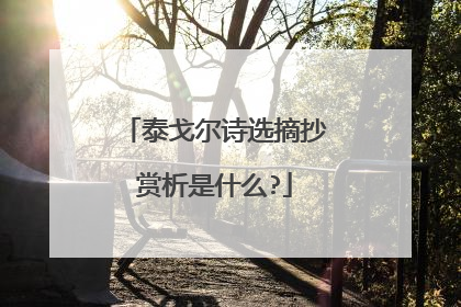 泰戈尔诗选摘抄赏析是什么?