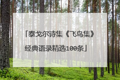 泰戈尔诗集《飞鸟集》经典语录精选100条