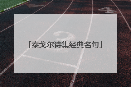 泰戈尔诗集经典名句