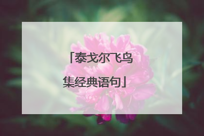 泰戈尔飞鸟集经典语句