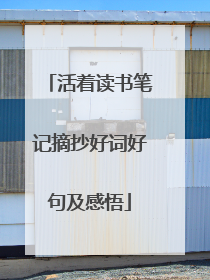 活着读书笔记摘抄好词好句及感悟
