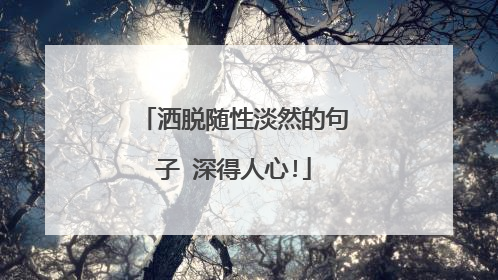 洒脱随性淡然的句子 深得人心!