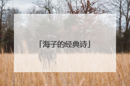 海子的经典诗