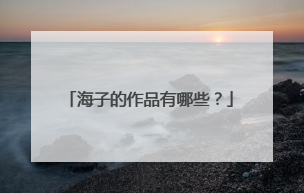 海子的作品有哪些？
