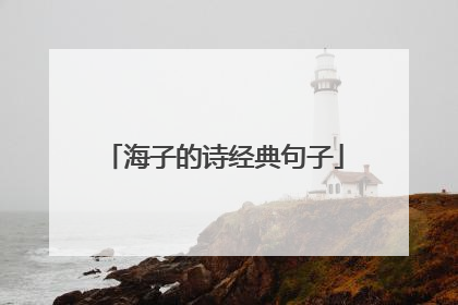 海子的诗经典句子