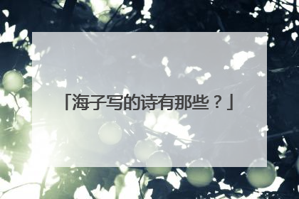 海子写的诗有那些？