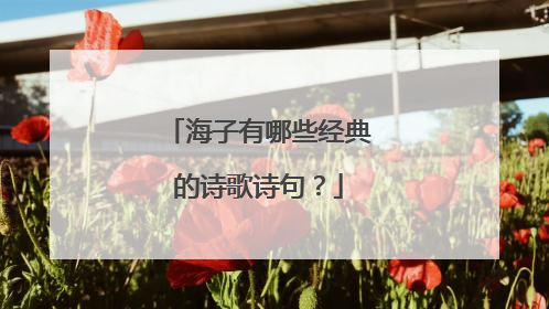 海子有哪些经典的诗歌诗句？